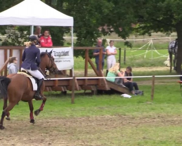 Großes Sommerturnier in Hille 2015