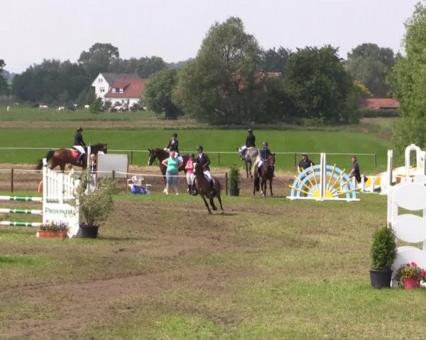 Großes Sommerturnier in Hille 2015