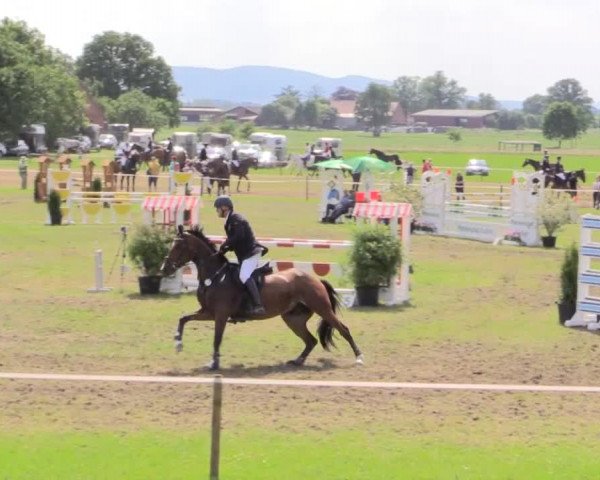 Großes Sommerturnier in Hille 2015