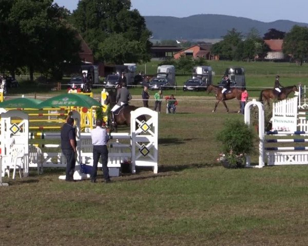 Großes Sommerturnier in Hille 2015