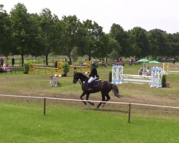 Großes Sommerturnier in Hille 2015