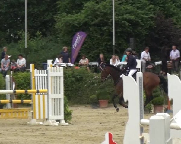 Sommerturnier Lohmar-Hausdorp 2015