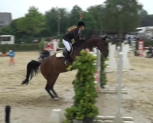 Sommerturnier Lohmar-Hausdorp 2015