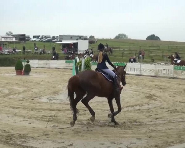 Sommerturnier Lohmar-Hausdorp 2015