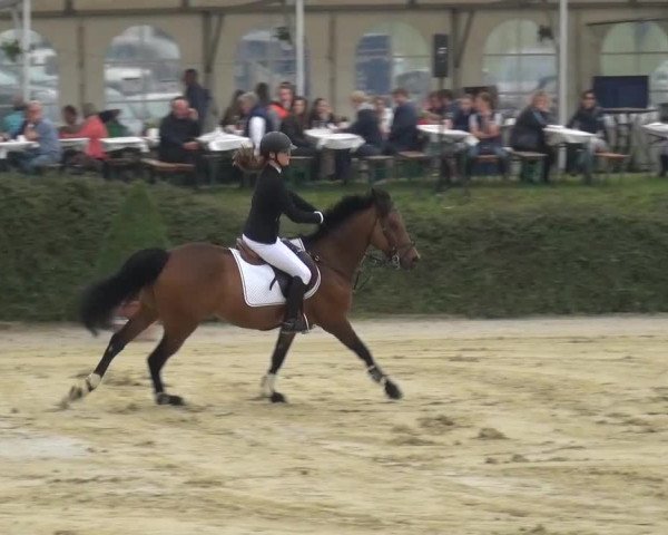 Sommerturnier Lohmar-Hausdorp 2015