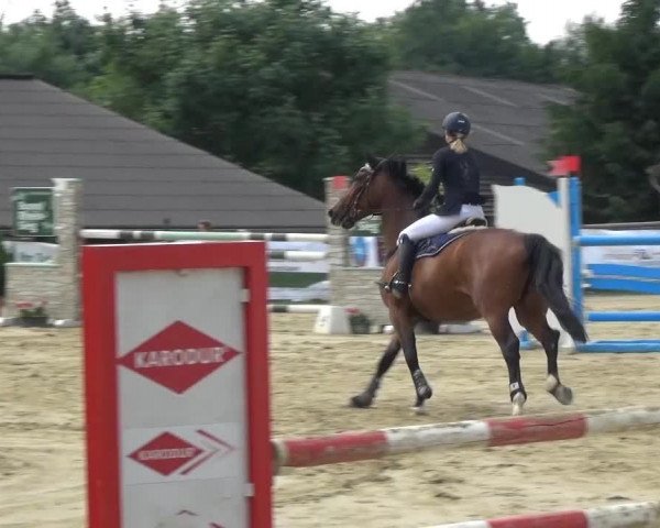 Sommerturnier Lohmar-Hausdorp 2015