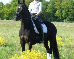 broodmare Nane H 3 (German Riding Pony, 2013, from Fehkamps Nightley)