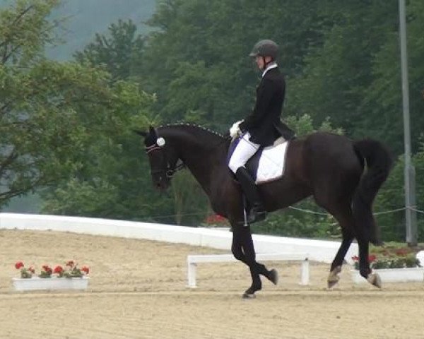 Sommerturnier Lohmar-Hausdorp 2015