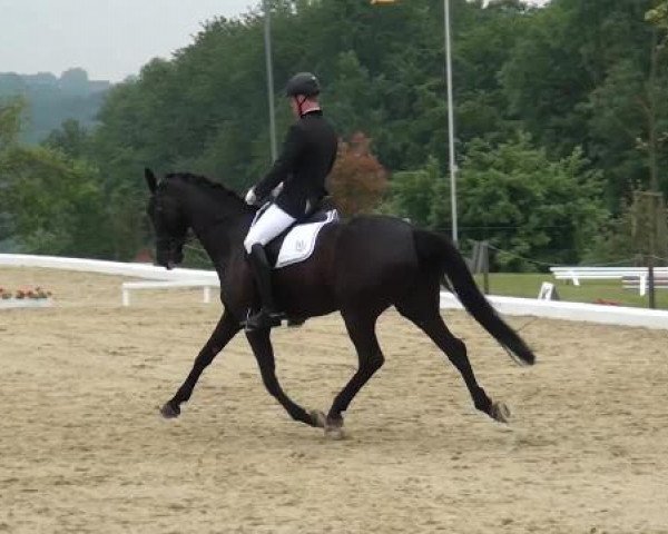 Sommerturnier Lohmar-Hausdorp 2015