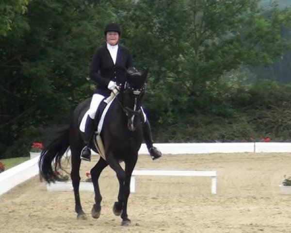 Sommerturnier Lohmar-Hausdorp 2015