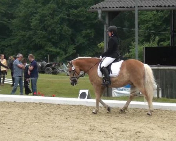 Sommerturnier Lohmar-Hausdorp 2015