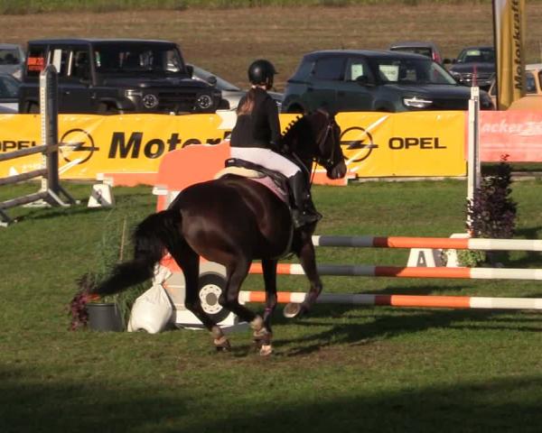 Equestrian Tournament Crivitz 2026