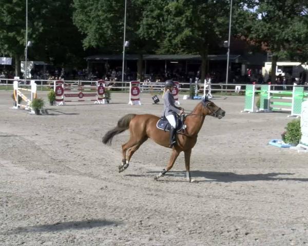 Ride turnering Barlo-Bocholt 2026