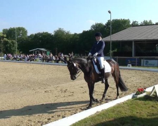 Sommerturnier Lohmar-Hausdorp 2015