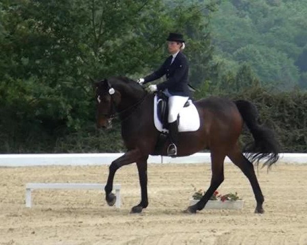 Sommerturnier Lohmar-Hausdorp 2015