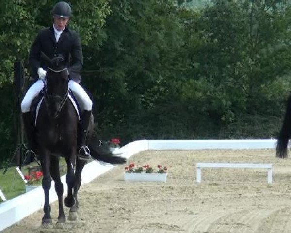 Sommerturnier Lohmar-Hausdorp 2015