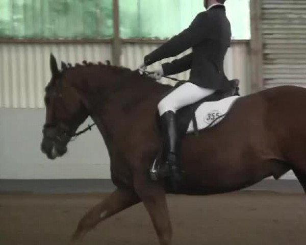 Höhr-Grenzhausen 2015