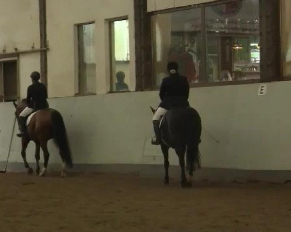 Höhr-Grenzhausen 2015
