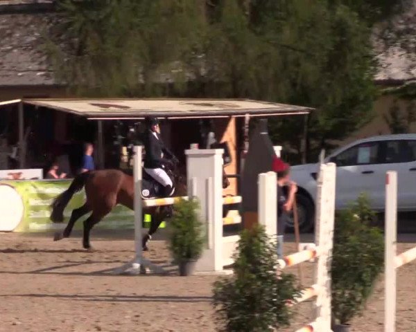 Höhr-Grenzhausen 2015