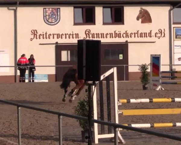 Höhr-Grenzhausen 2015