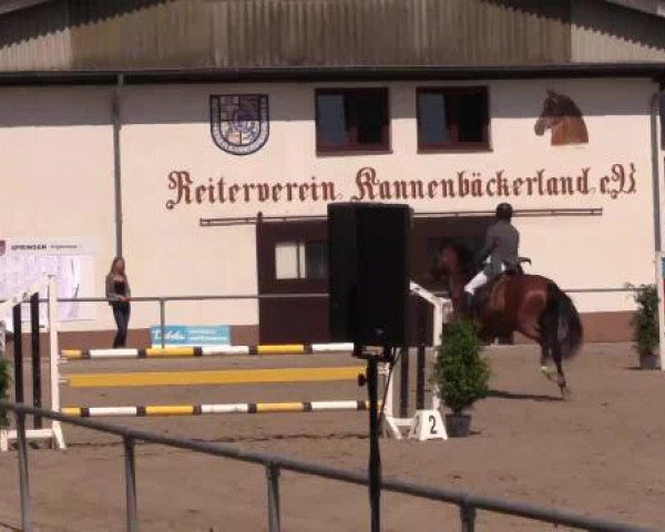 Höhr-Grenzhausen 2015