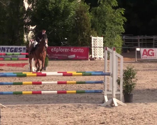 Höhr-Grenzhausen 2015