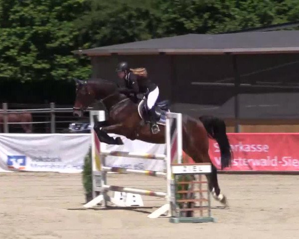 Höhr-Grenzhausen 2015