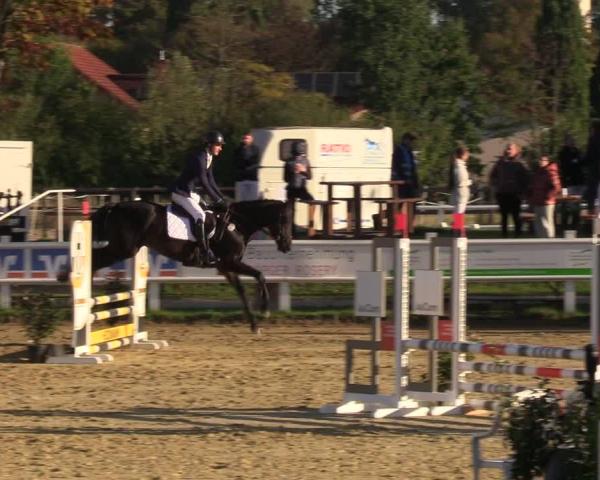 Concours Hippique Sendenhorst 2026