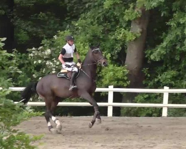 Reitturnier Nordstetten-Horb 2015