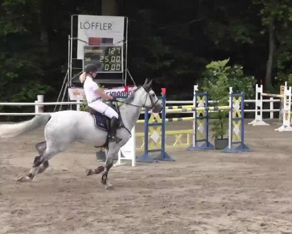 Reitturnier Nordstetten-Horb 2015
