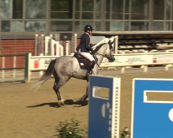 Concurso Hipico Sendenhorst 2026
