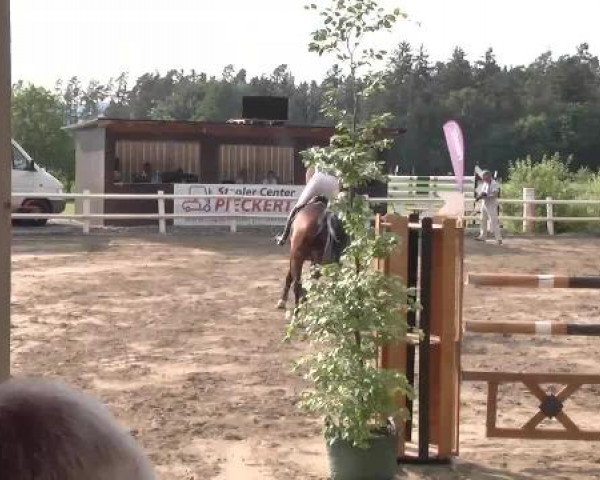 Reitturnier Nordstetten-Horb 2015