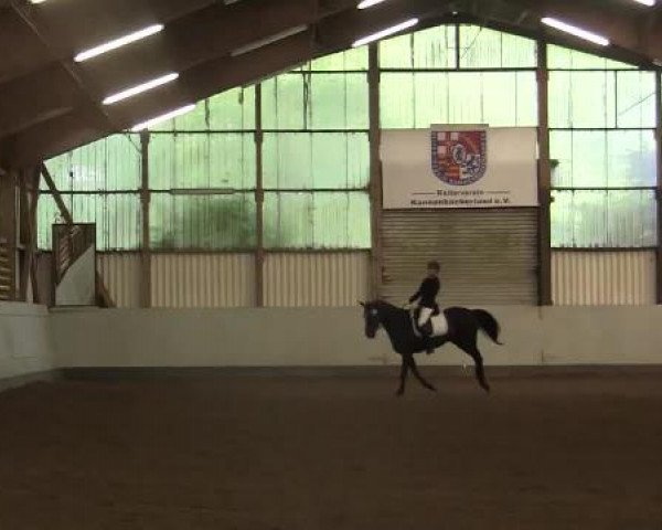 Höhr-Grenzhausen 2015
