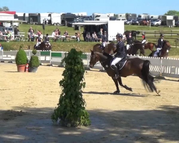 Sommerturnier Lohmar-Hausdorp 2015