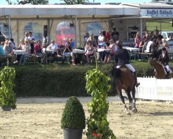 Sommerturnier Lohmar-Hausdorp 2015