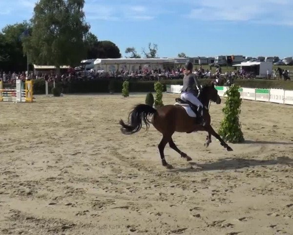 Sommerturnier Lohmar-Hausdorp 2015