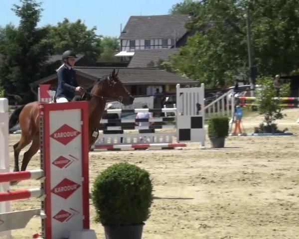 Sommerturnier Lohmar-Hausdorp 2015