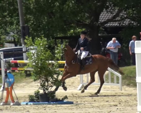 Sommerturnier Lohmar-Hausdorp 2015