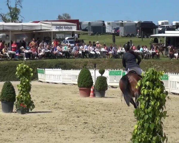 Sommerturnier Lohmar-Hausdorp 2015