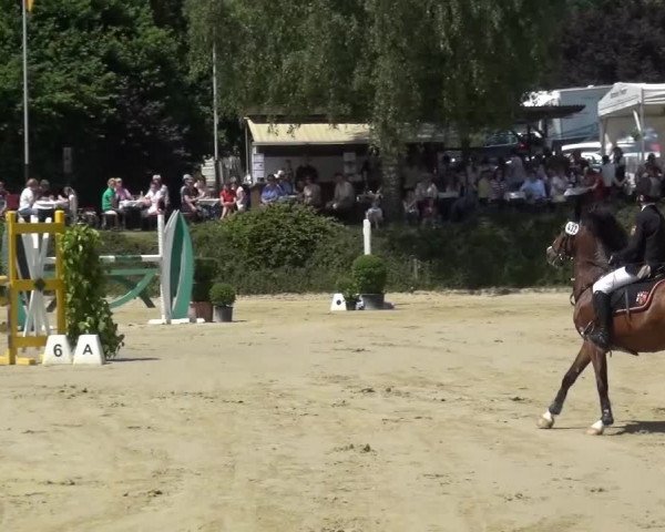 Sommerturnier Lohmar-Hausdorp 2015