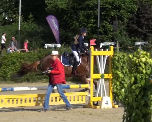 Sommerturnier Lohmar-Hausdorp 2015