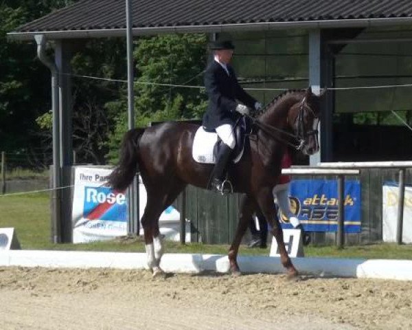 Sommerturnier Lohmar-Hausdorp 2015