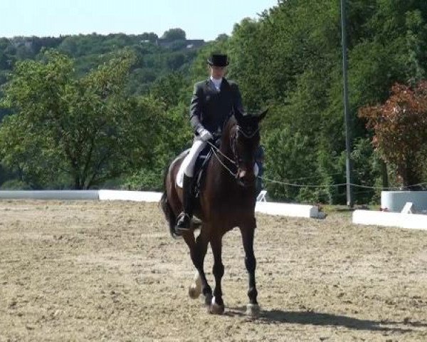 Sommerturnier Lohmar-Hausdorp 2015