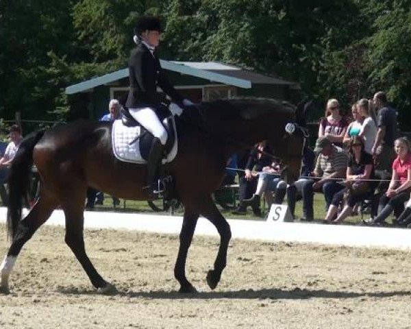 Sommerturnier Lohmar-Hausdorp 2015
