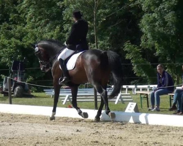 Sommerturnier Lohmar-Hausdorp 2015