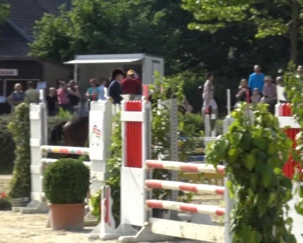 Sommerturnier Lohmar-Hausdorp 2015