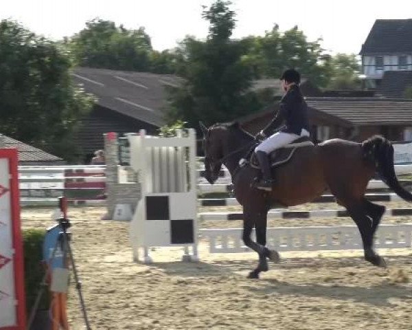 Sommerturnier Lohmar-Hausdorp 2015