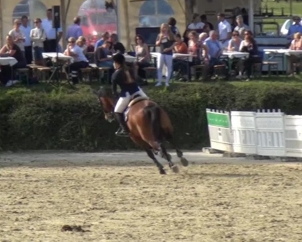 Sommerturnier Lohmar-Hausdorp 2015