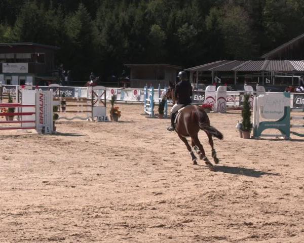 Concurso Hipico Ranshofen - Braunau am Inn 2026