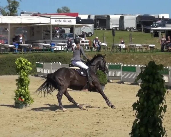Sommerturnier Lohmar-Hausdorp 2015